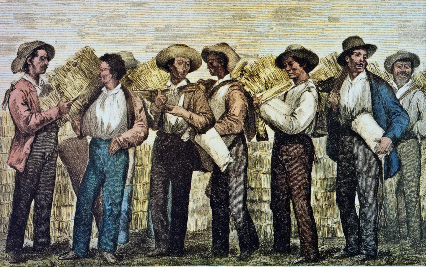 Ilustración coloreada de una fila de hombres con sombrero cargando haces de paja al hombro, frente a un muro de ladrillo.
