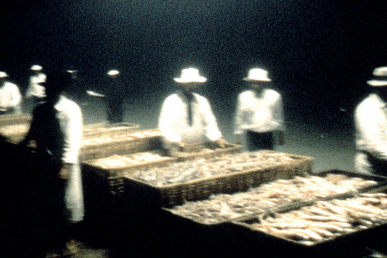 Fotografía nocturna en blanco y negro de varios hombres con sombrero y camisa blanca clasificando pescado en grandes cestas de mimbre.