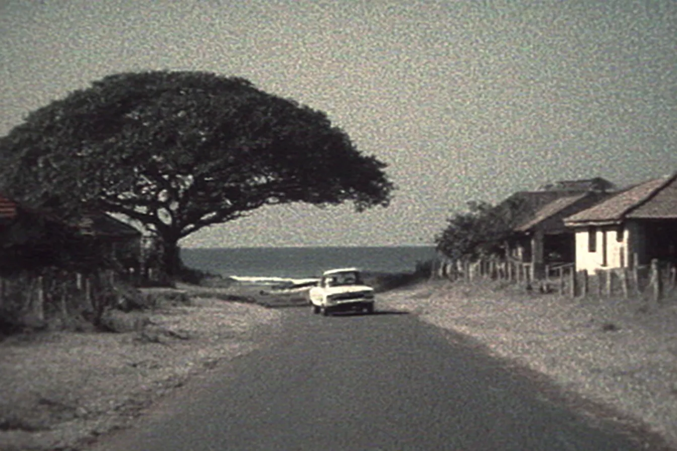 Fotografía antigua de una carretera de tierra con un árbol grande inclinado a la izquierda, un carro blanco circulando hacia el mar y casas pequeñas a la derecha.