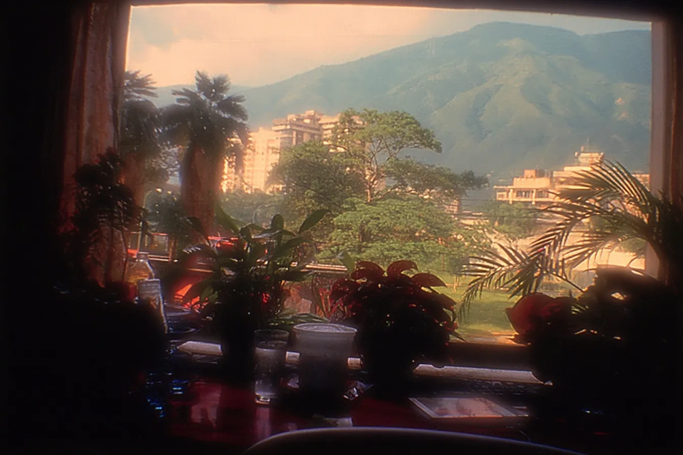 Fotografía tomada desde el interior de una habitación, a través de una ventana con plantas, mostrando una montaña y edificios bajo luz cálida de atardecer.
