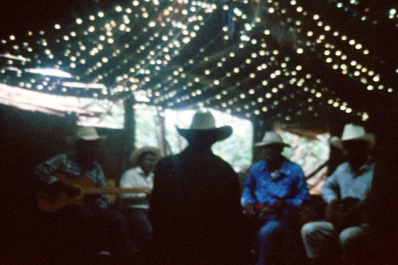Cinco hombres con sombrero tocan guitarra sentados en círculo, de noche, bajo una techumbre cruzada por luces cálidas colgantes.