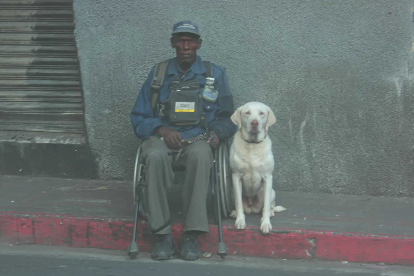 Hombre en silla de ruedas con gorra y chaleco, sentado junto a un perro blanco grande, frente a una pared gris con un borde de acera pintado de rojo.