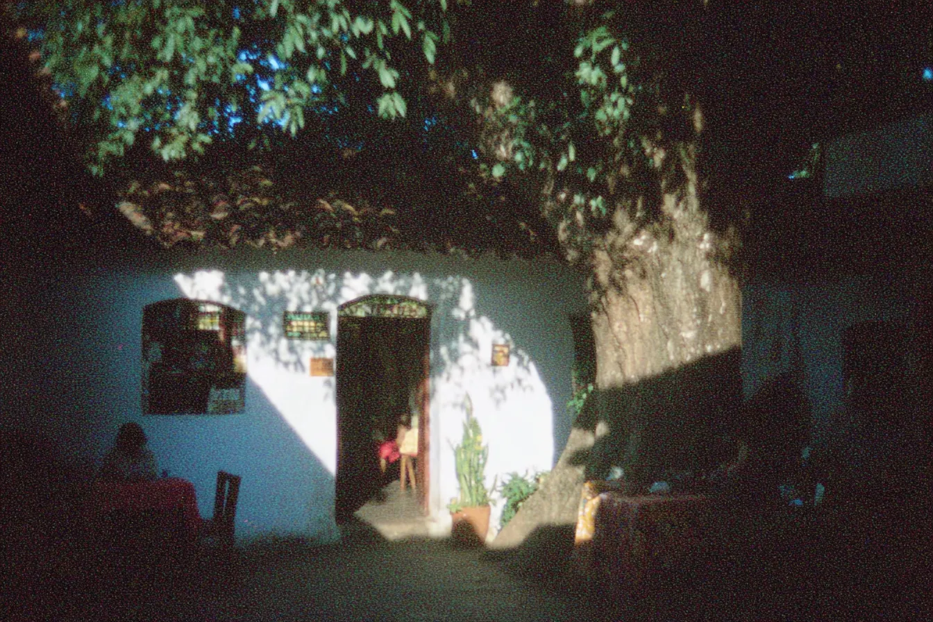Casa rural de paredes blancas y techo de tejas bajo árboles frondosos, con una franja de luz solar que atraviesa un patio en sombra hasta la puerta abierta, donde se distingue una figura infantil; a la izquierda una persona sentada a una mesa.