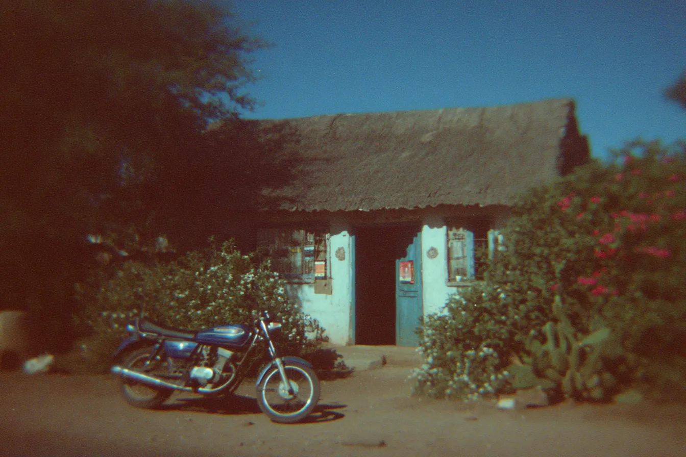 Motocicleta azul estacionada frente a una casa de paredes blancas con techo de paja y puerta azul, rodeada de arbustos con flores rosadas y un cactus.