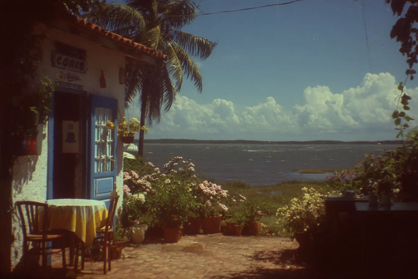 Patio con una mesa de mantel amarillo y sillas junto a una puerta azul, una palmera y macetas con flores, con vista a una laguna y el mar al fondo.