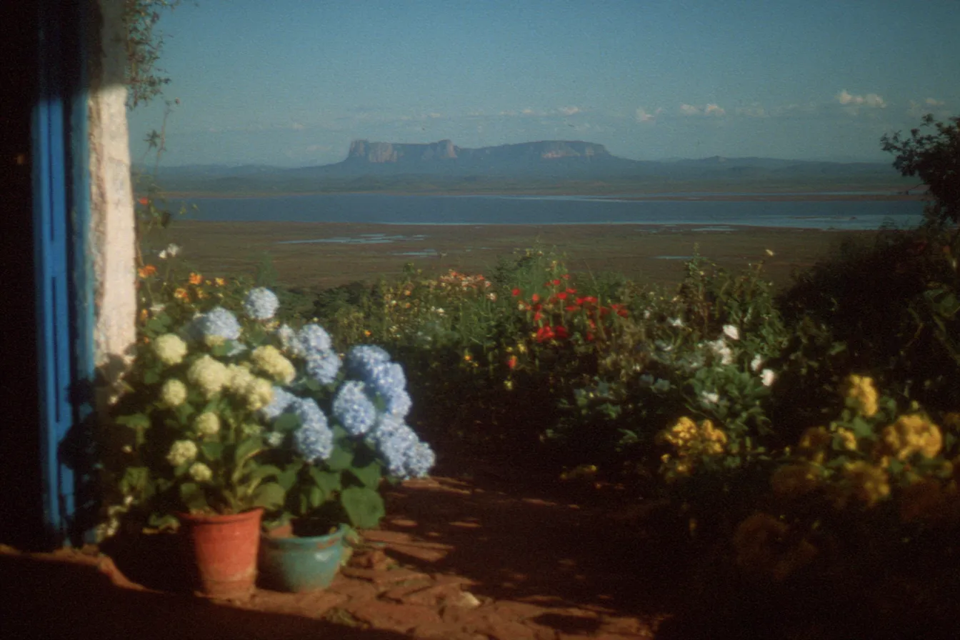 Macetas con hortensias azules, blancas y amarillas junto a una puerta azul, con vista a una laguna y una montaña de cima plana en el horizonte.