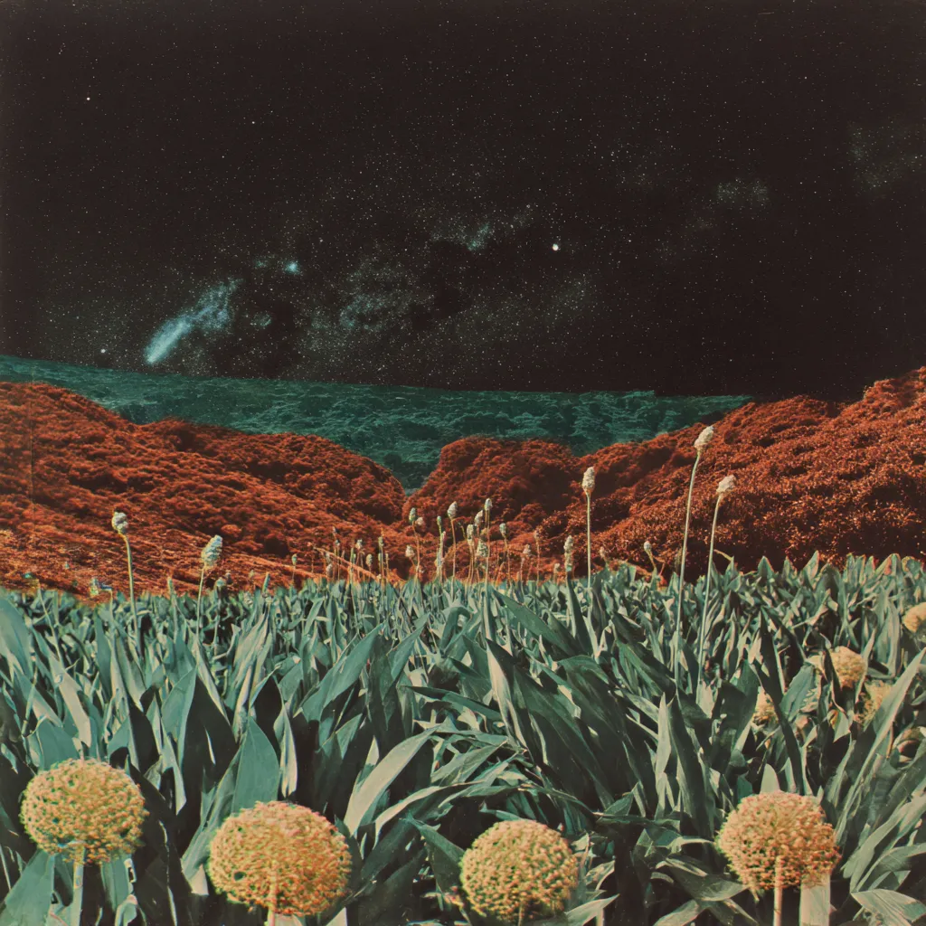 Fotografía con grano vintage de un campo de plantas de agave con flores amarillas redondas en primer plano, colinas rojizas al fondo, bajo un cielo nocturno estrellado con un cometa.